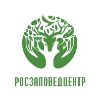 org-icon