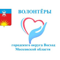 org-icon