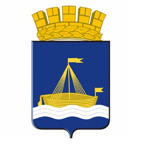 org-icon